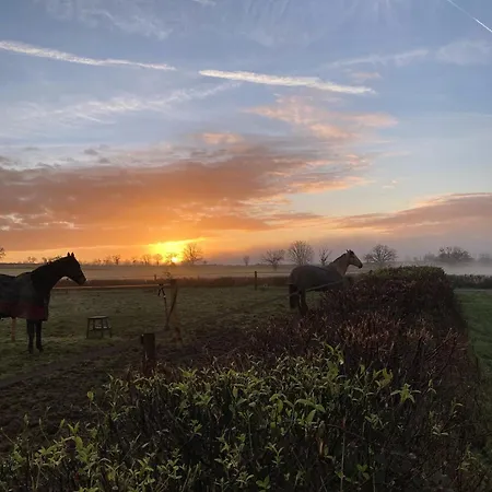 D'hotes Domaine Les Grands Perons 住宿加早餐酒店 3*