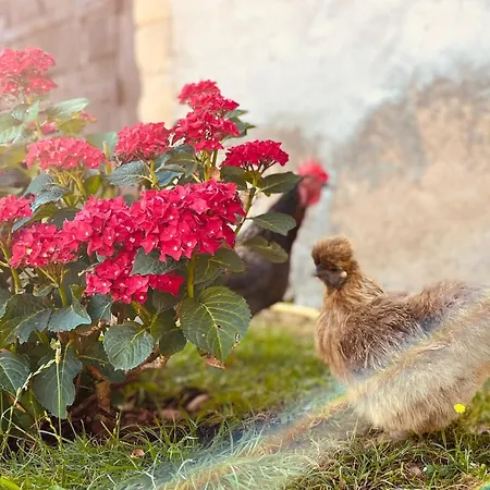 住宿加早餐酒店 D'hotes Domaine Les Grands Perons